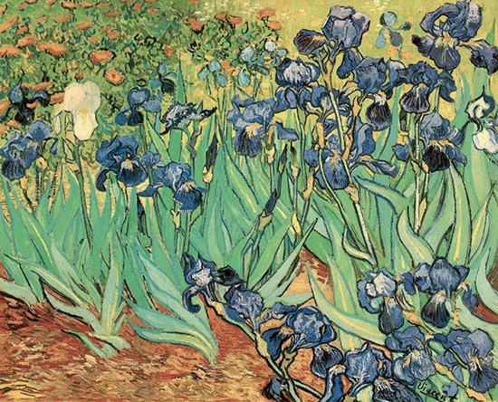 Irises by Vincent Van Gogh